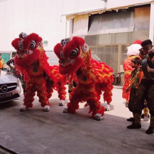 CNY 2019 Lion Dance Performance